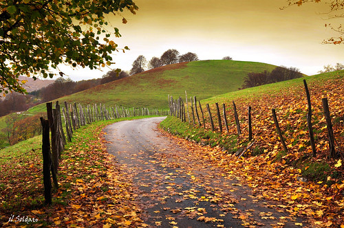 autumn italy mountain landscape italia autunno montagna lombardia paesaggio valleintelvi italiacontadina