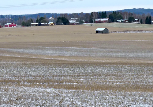 winter beige fields 365daysincolour