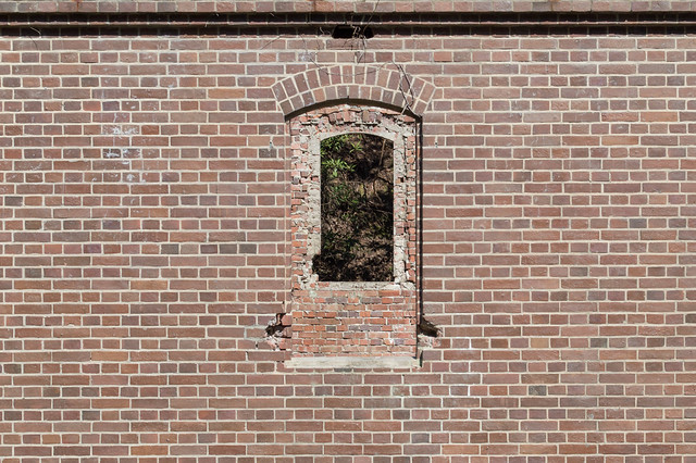abandoned building windows