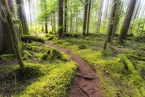 photography pacific northwest trail pnt pacificnorthwesttrail dantank
