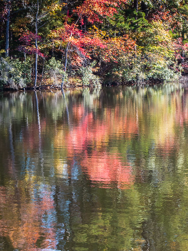 usa reflection fall water leaves ga georgia us seasons unitedstates vegetation northamerica waterscape stonemountainpark treeparts