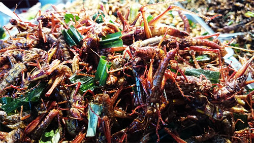 Eating Insects, Worms, and Bugs in Bangkok - Thailand