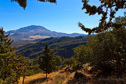 park parque españa mountain forest landscape spain natural sierra coniferous copyright©keithbowden2013