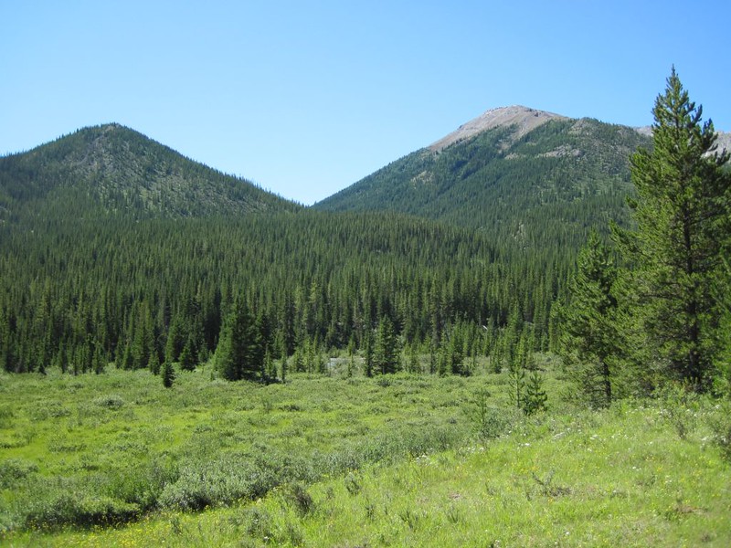 View south from the Cascade River Trail over a meadow looking toward Noetic Peak