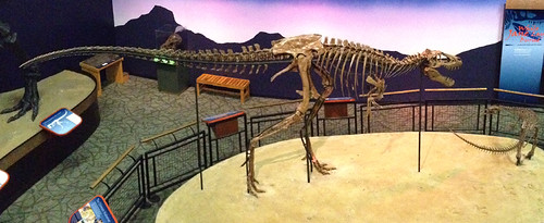 Jane - Tyrannosaurus Rex