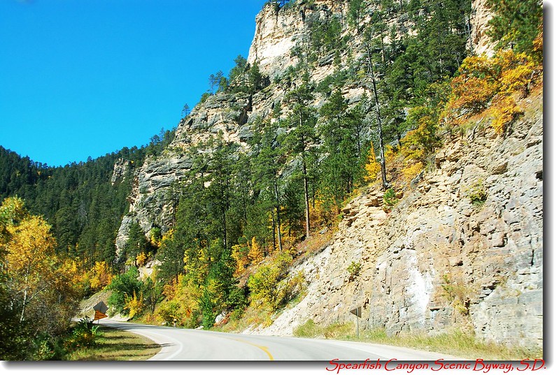 Spearfish Canyon Scenic Byway 5