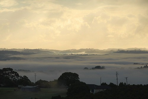 morning nature fog sunrise landscape countryside scenery valley nsw inversion australianlandscape northernrivers valleyfog sunlitclouds morninglandscape australianweather wilsonsrivervalley