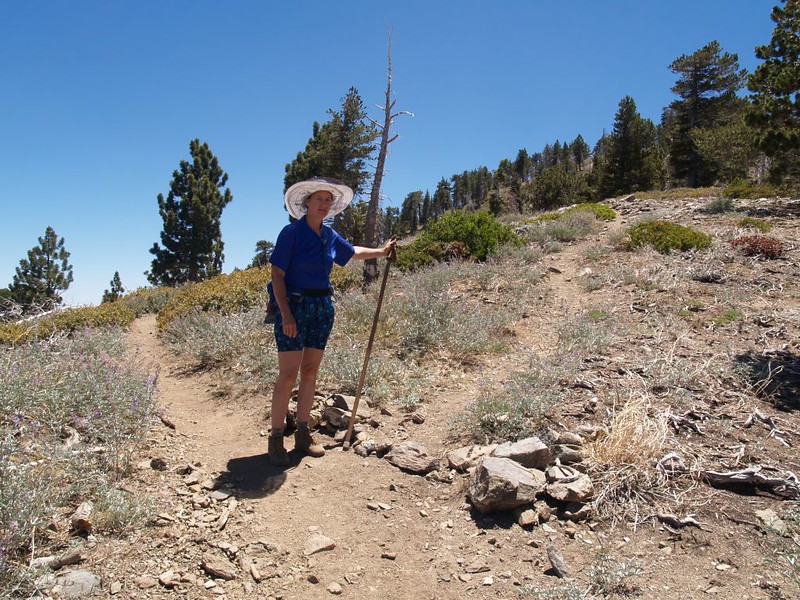 Summit trail to Throop Peak where it intersects the PCT on the northeast ridge of Throop