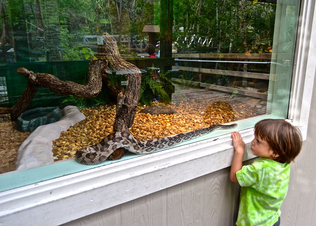 reptile house at homosassa state park