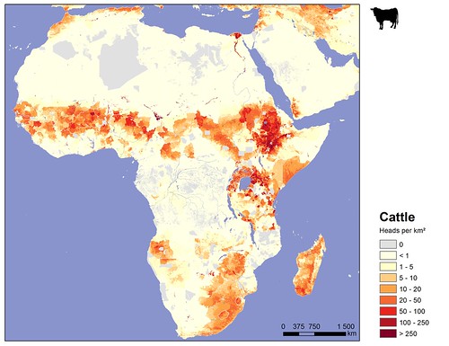 Distribution of cattle in Africa