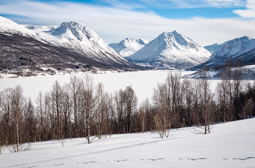 ramfjord winter landscape mountainscape snow tromsø troms arcticnorway norway mountains fjord frozenfjord outdoor
