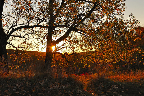 morning autumn sun fall leaves sunrise leaf iowa geodestatepark lakegeode danvilleia