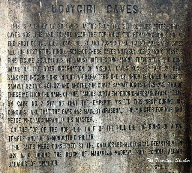 Udaygiri Caves (4)