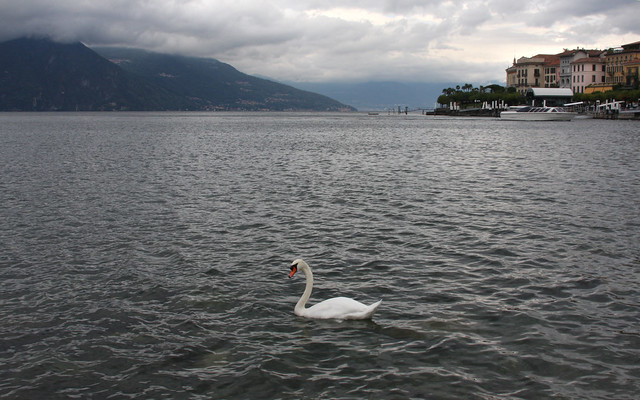 Lago di Como (104)
