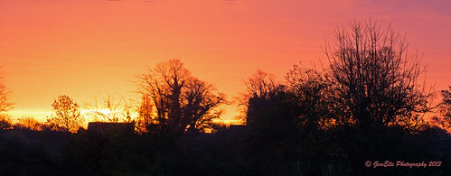 morning pink sunset orange sun yellow sunrise dawn nikon sigma 50500 sillhouette daybreak gemelle gemelle1 gemellephotography