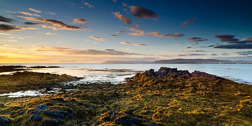 longexposure sunset sea seaweed beach landscape iceland hafnarfjordur straumsvík midninghtsun zeissdistagont2821ze