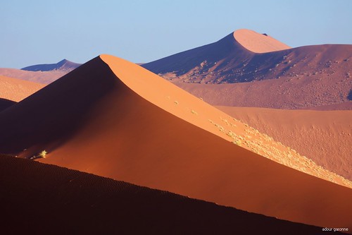 africa park nature landscape sand desert dune sable natura paisaje naturalhistory desierto paysage sesriem namibia parc naturepark afrique désert sossusvlei namib namibie naukluft khomas namibnaukluft parcnaturel bestcapturesaoi elitegalleryaoi