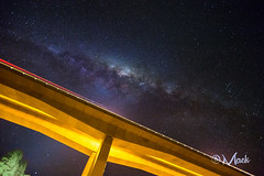 Bridge to the stars