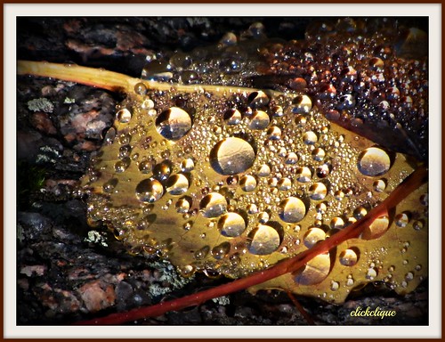 sunlight fall leaves leaf drops hike refractions pabineaufalls