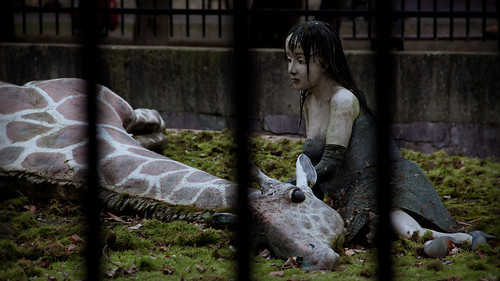 girl canon maastricht giraffe artinstallation glasseyesview dierenparkmaastricht formerenclosure