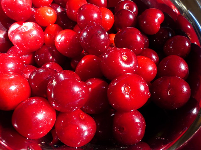 Acid cherry harvest