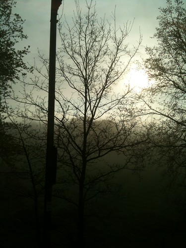 mist sunrise nebel magical sonnenaufgang morningmist niedersachsen verzaubert zauberland