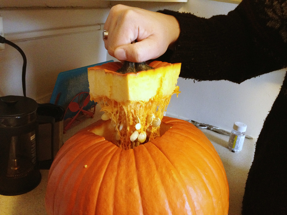 pumpkin 1
