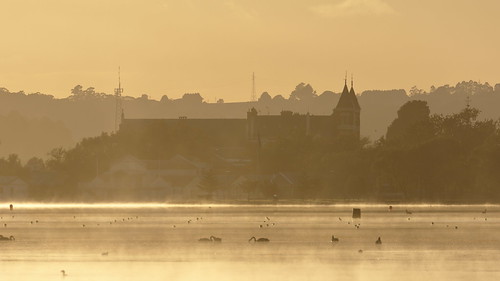ballarat victoria australia lakewendouree water morningfog mist nazarethhouse dawn boatsheds swans