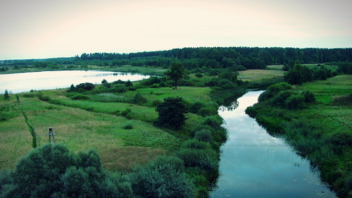 green nature river