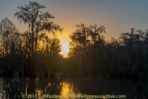 sunrise louisiana unitedstates swamp acadiana cypressisland breauxbridge lakemartinla