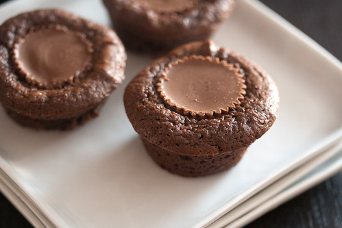 Two-Bite Peanut Butter Cup Brownies
