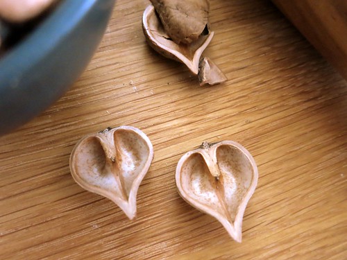 Heartnuts from Forbes Wild Foods and The Sorauren Farmers Market