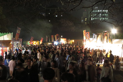 Sakura Festival 2014 at Night