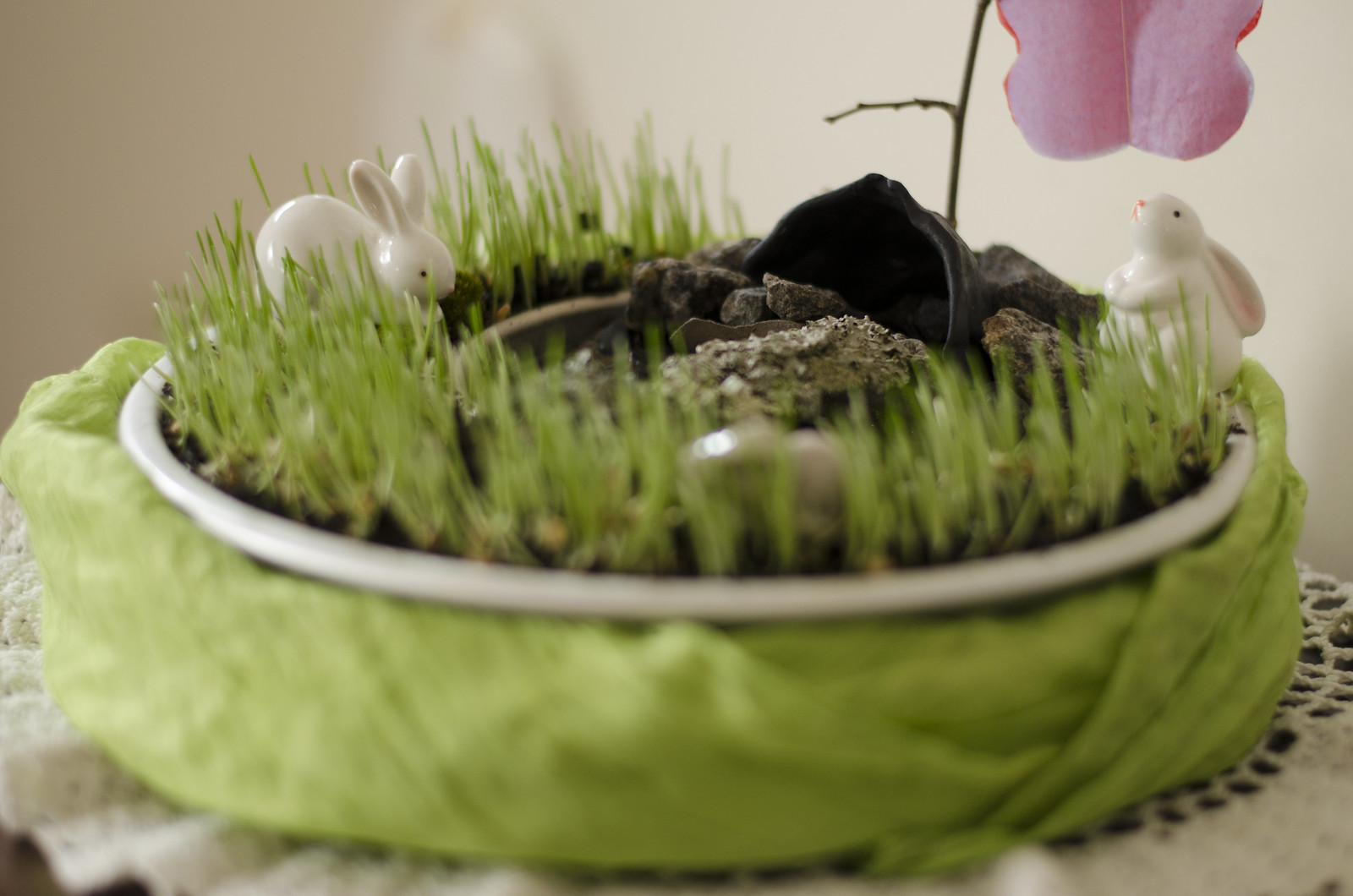 How to Plant Lenten Grass (Easter Grass)