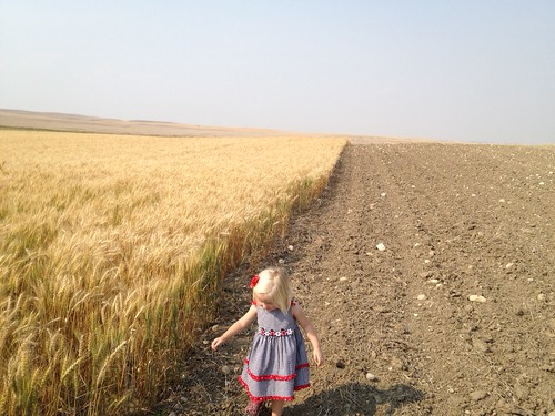 girl child wheat