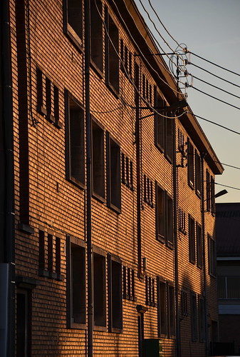 windows sunset lumière bricks façade immeuble briques fenêtres orangé filsélectriques soleilcouchant