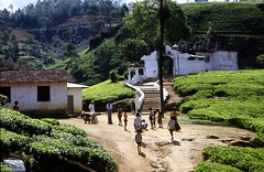 Sri Lanka - 1987
