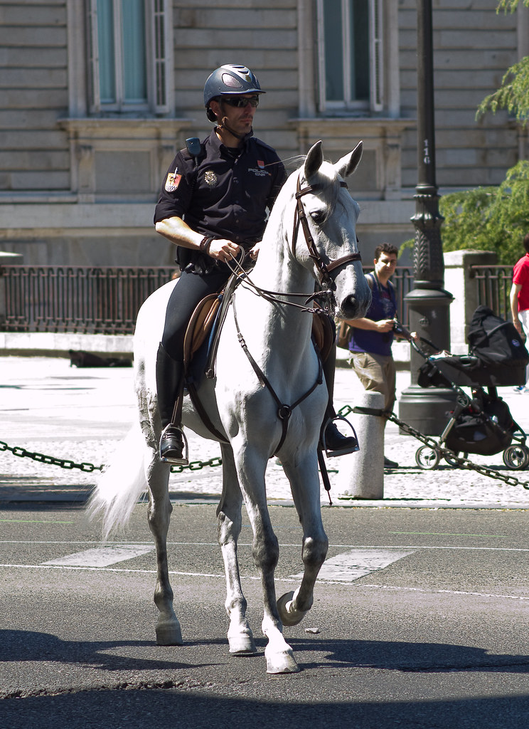 Policía a caballo