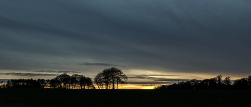stockbridge hampshire landscape sunset twilight trees treescape copse sonyrx10 explore explored