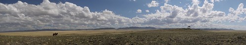 desert mongolia gobi
