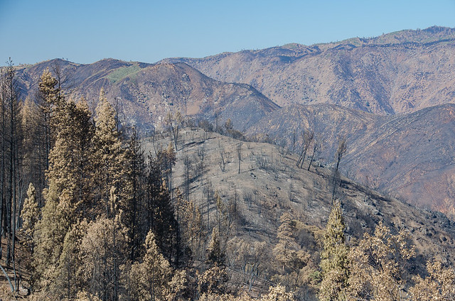 After the Rim Fire - Yosemite National Park