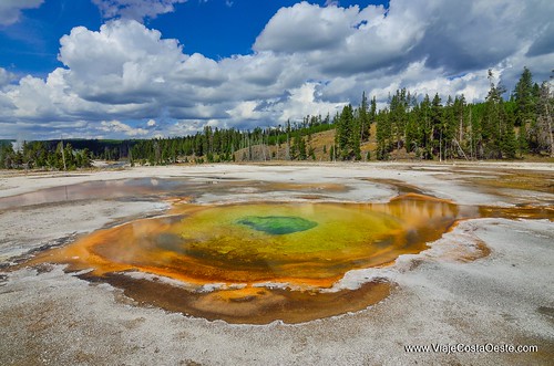 VIAJE COSTA OESTE EE.UU. - Blogs de USA - Yellowstone - Zona Sur (9)