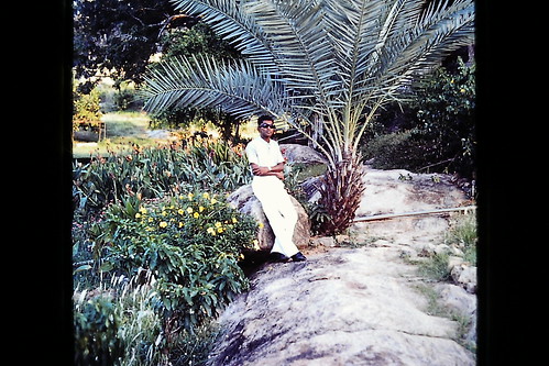 garden japanese srilanka inginiyagala galoyadam