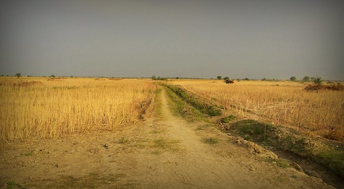 india nature field clouds rural landscape path samsung agriculture tonk rajasthan