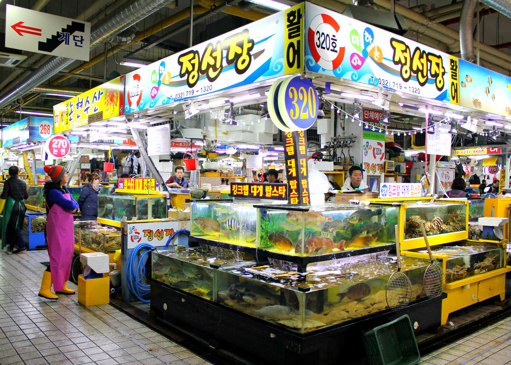 sorae-fish-market-vendors