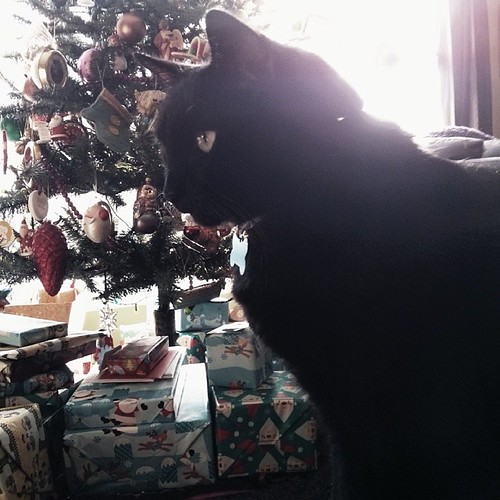 Boombox wishes you a Merry Christmas Eve.