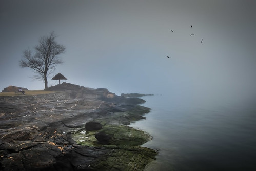 scenic fog gazebo shore coast rocky landscape seascape larchmont