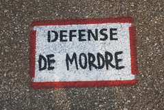thierry Ehrmann : il est interdit d-interdire DDC_9948 - Photo of Fleurieu-sur-Saône