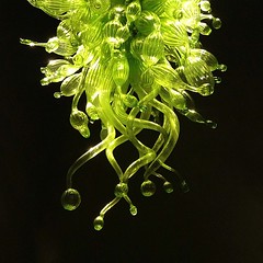 More Chihuly. #seattle