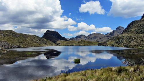 ecuador elcajas elcajasnationalpark worldinsight